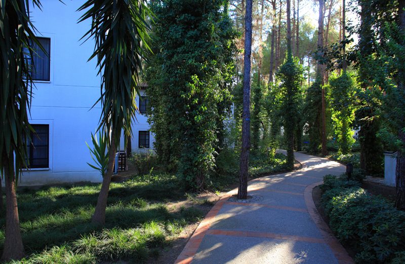 imagini hotel CLUB SALIMA